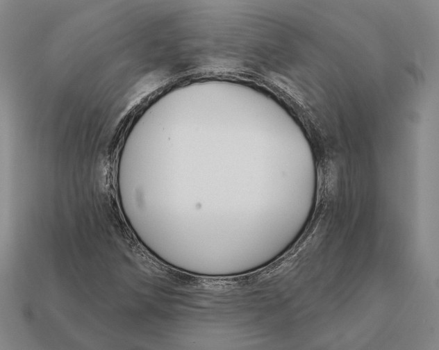 X0000112431258200909111023