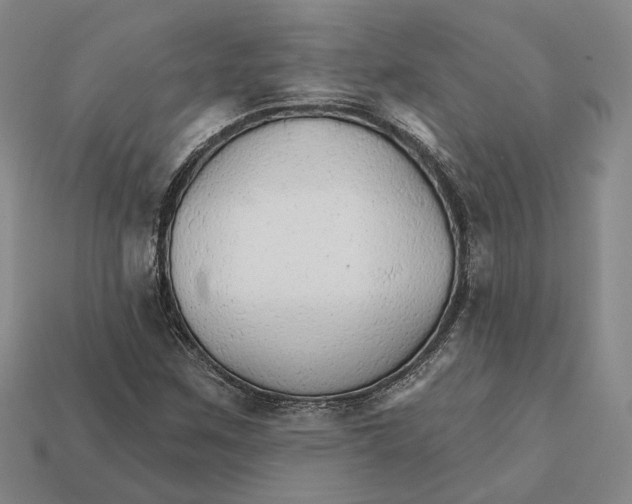 X0000112431259200909111023