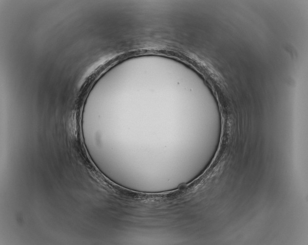 X0000112431262200909111023