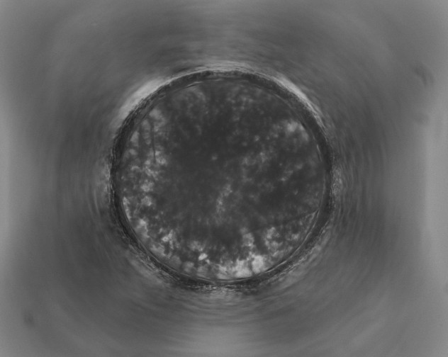 X0000112431263200909111023