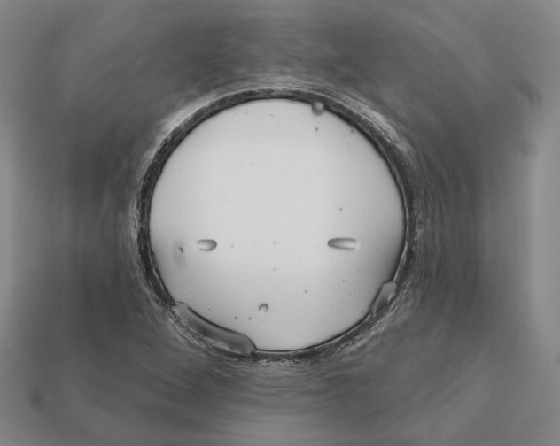 X0000112431264200909111023