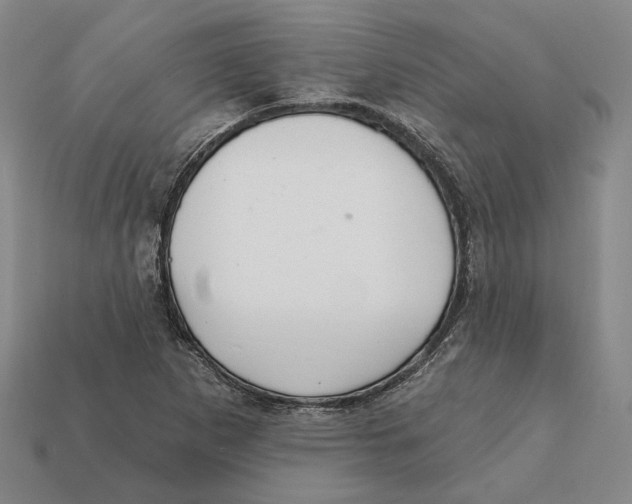 X0000112431265200909111023