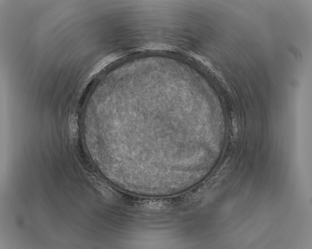 X0000112431266200909111023
