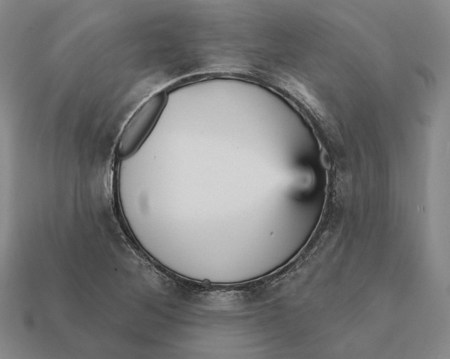 X0000112431268200909111023