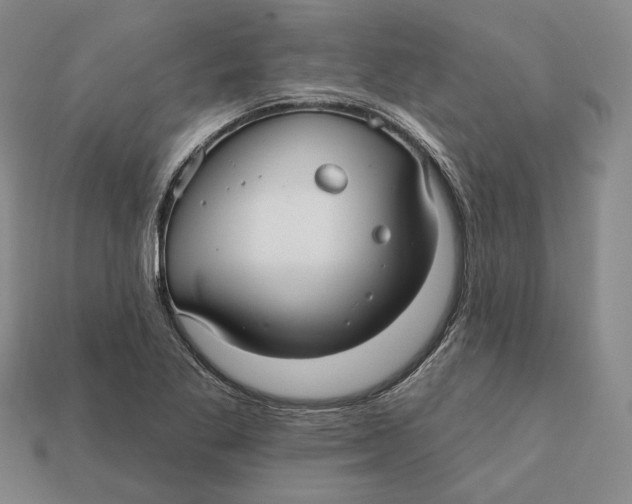 X0000112431269200909111023