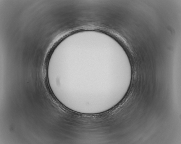 X0000112431270200909111023