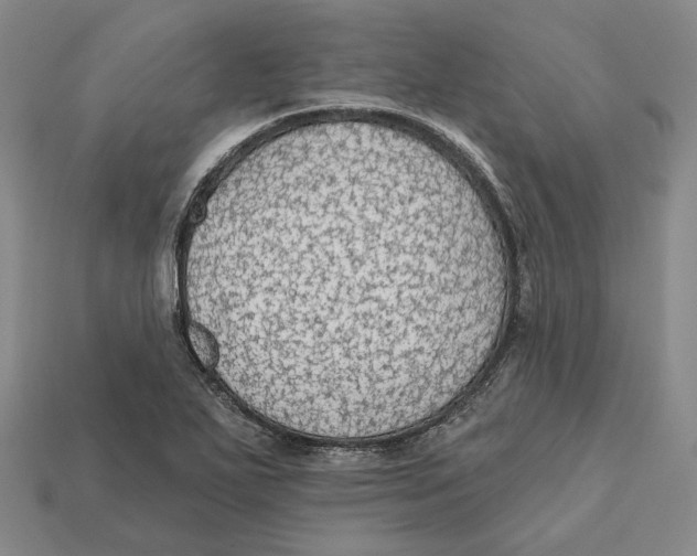X0000112431271200909111023