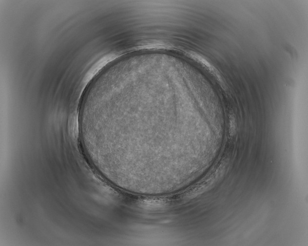 X0000112431274200909111023