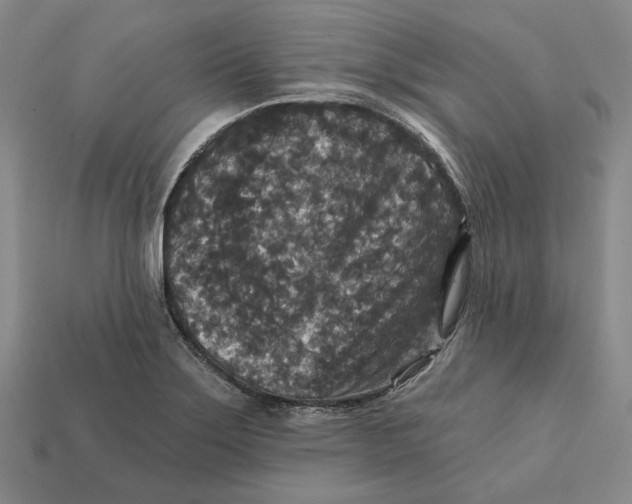 X0000112431275200909111023
