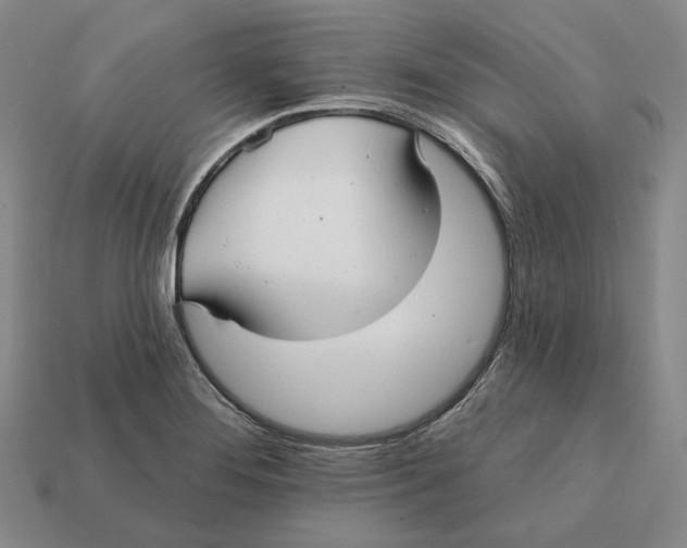 X0000112431276200909111023