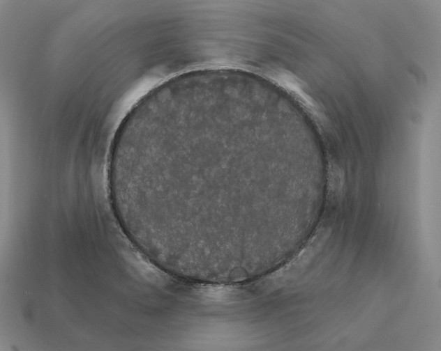 X0000112431278200909111023