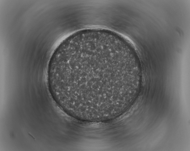 X0000112431279200909111023