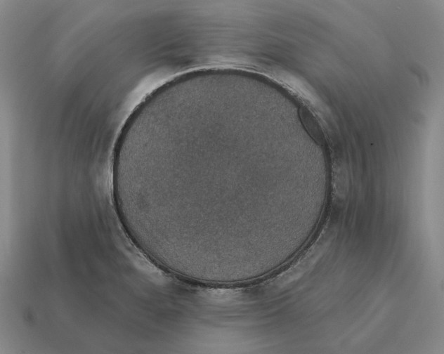 X0000112431280200909111023