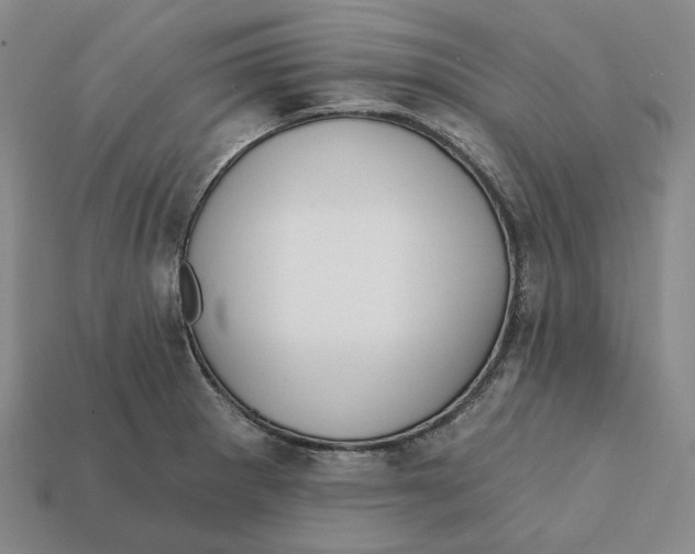 X0000112431281200909111023