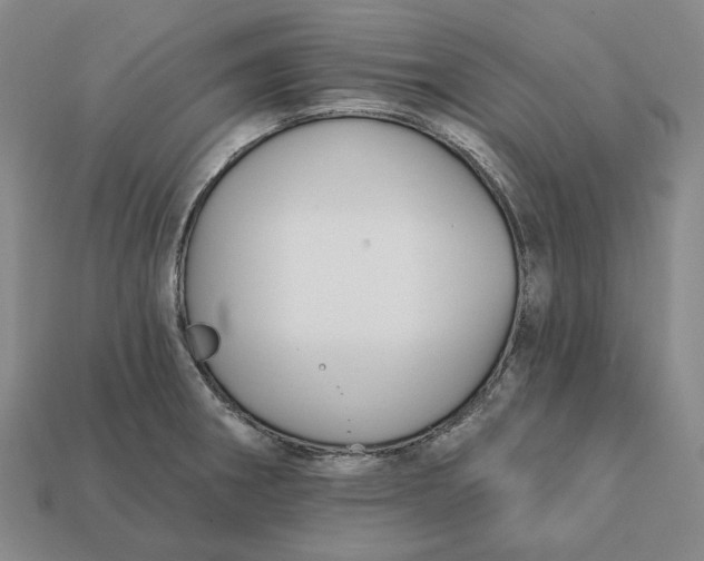 X0000112431282200909111023