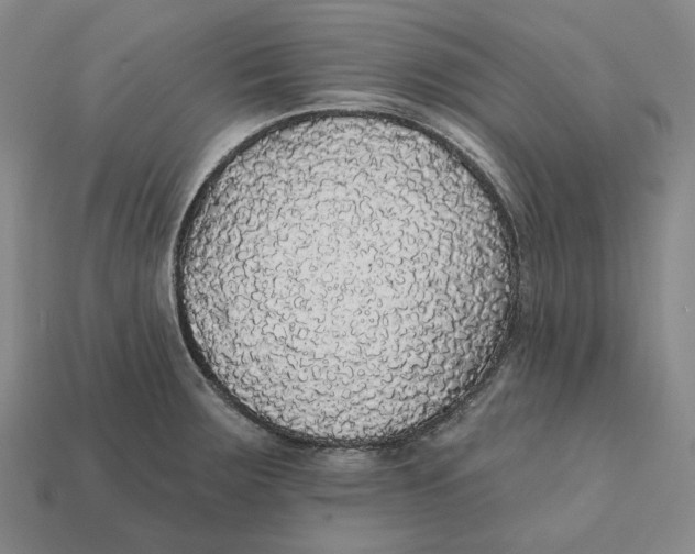 X0000112431283200909111023