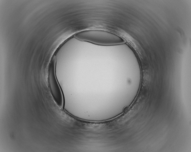 X0000112431284200909111023