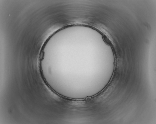 X0000112431285200909111023