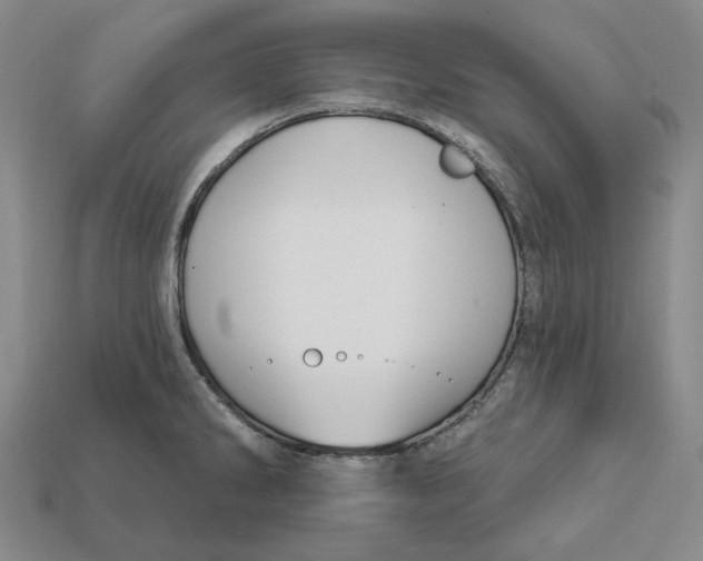 X0000112431286200909111022