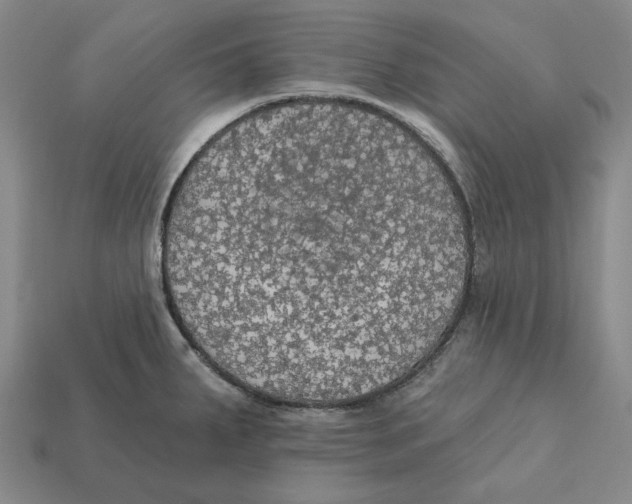 X0000112431287200909111022
