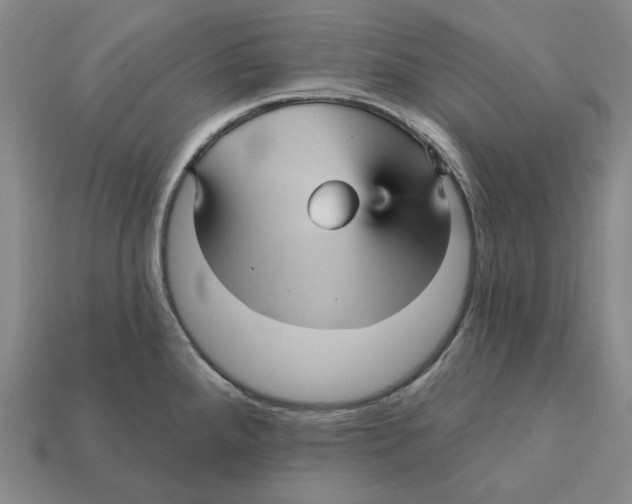 X0000112431288200909111022