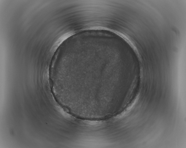 X0000112431289200909111022