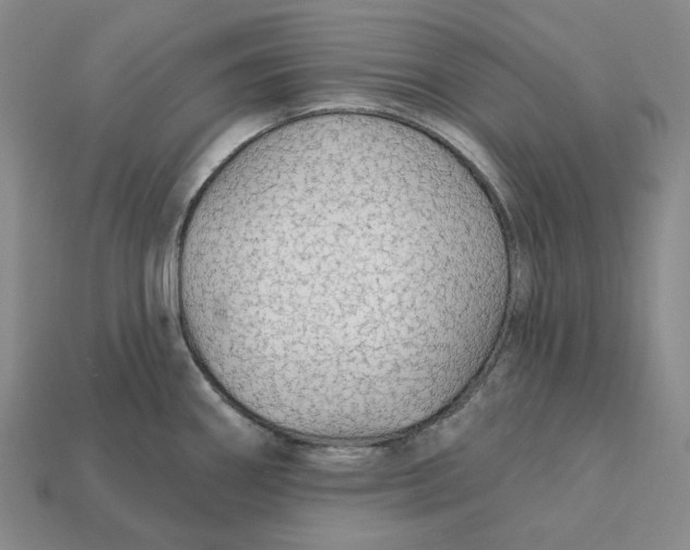 X0000112431290200909111022