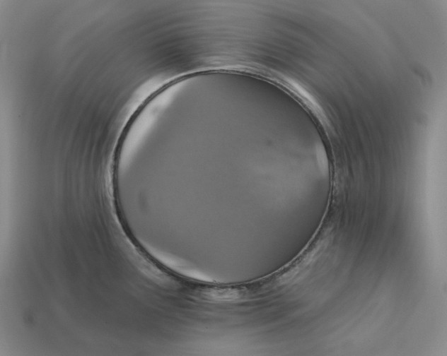 X0000112431291200909111022