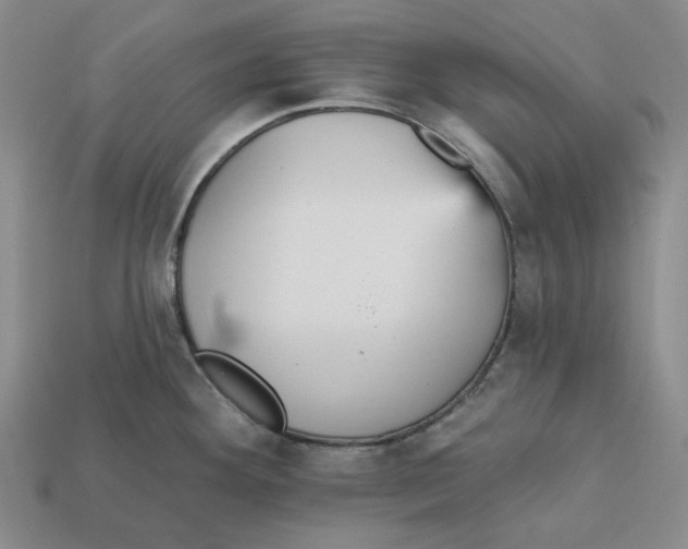 X0000112431292200909111022