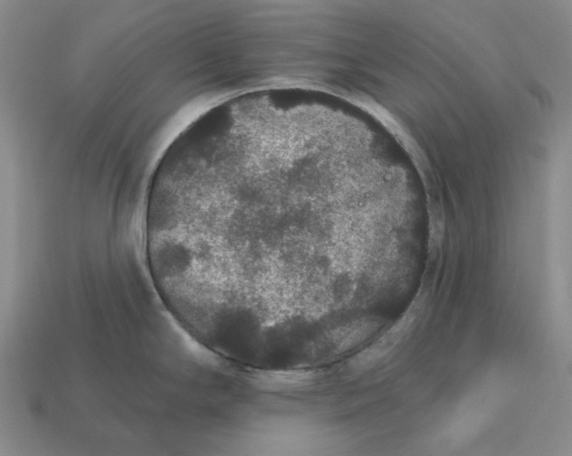 X0000112431294200909111022