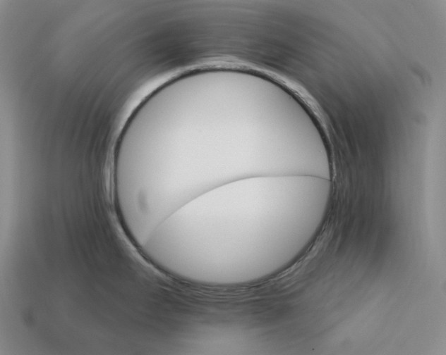X0000112431295200909111022