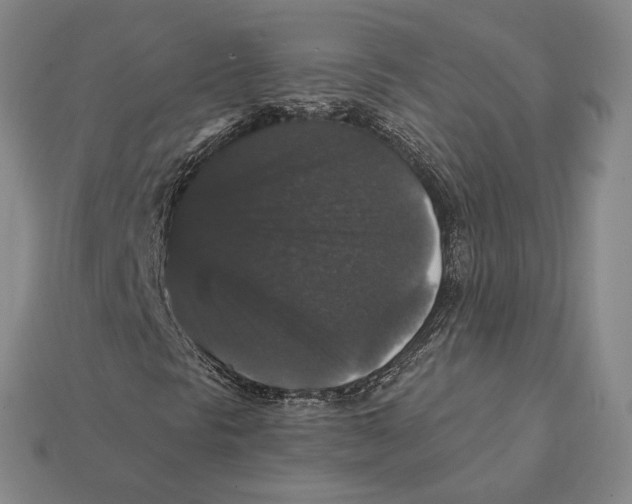 X0000112431297200909111022