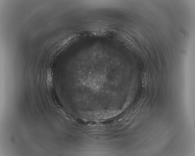 X0000112431298200909111022