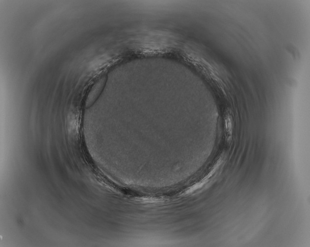 X0000112431300200909111022