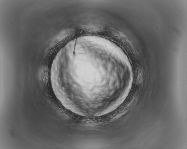 X0000112431301200909111022