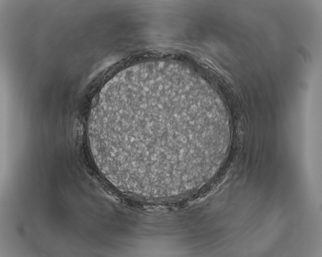 X0000112431302200909111022