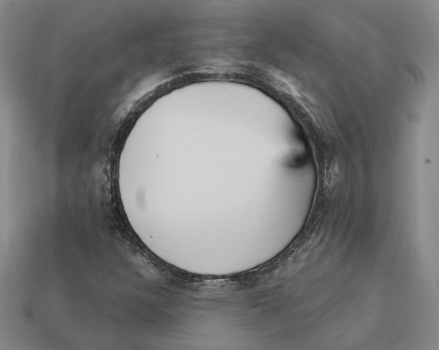 X0000112431304200909111022