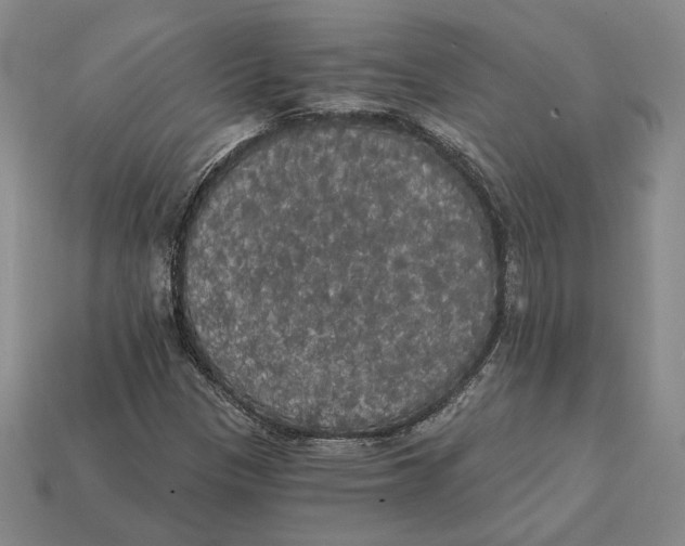 X0000112431305200909111022