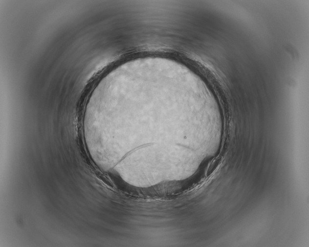 X0000112431306200909111022