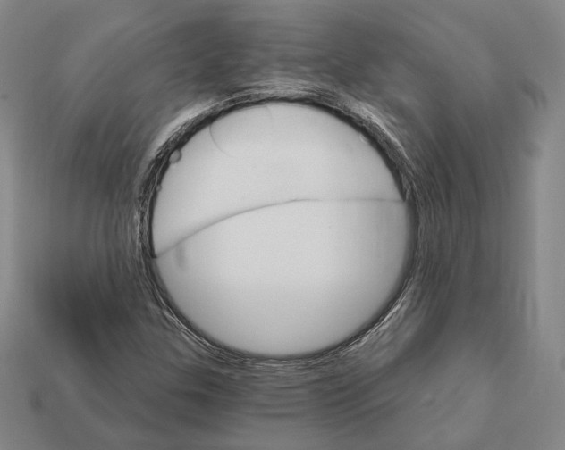 X0000112431307200909111022