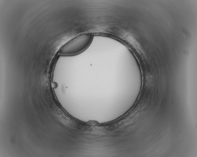 X0000112431308200909111022