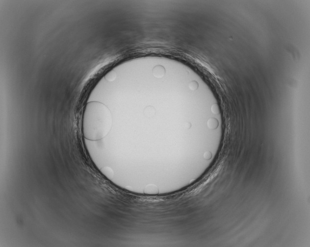 X0000112431309200909111022