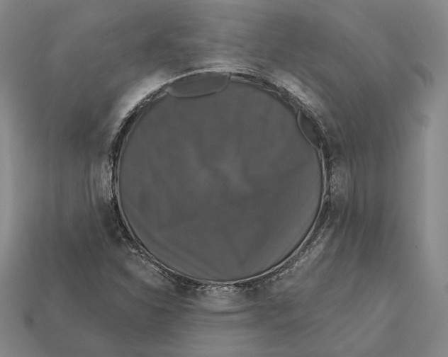 X0000112431310200909111022