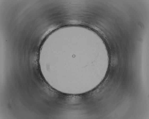 X0000112431314200909111022