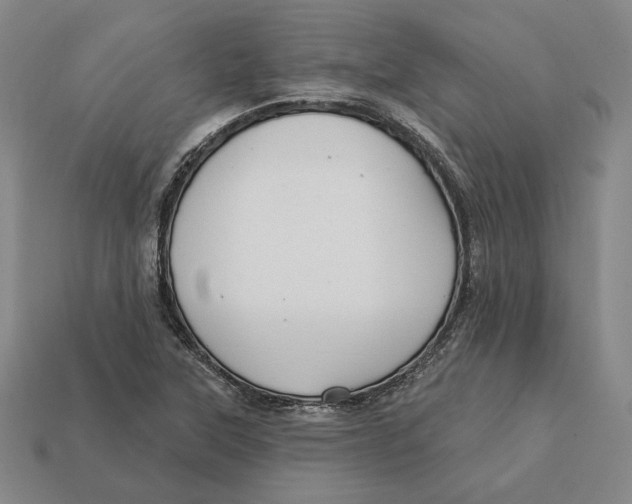 X0000112431315200909111022