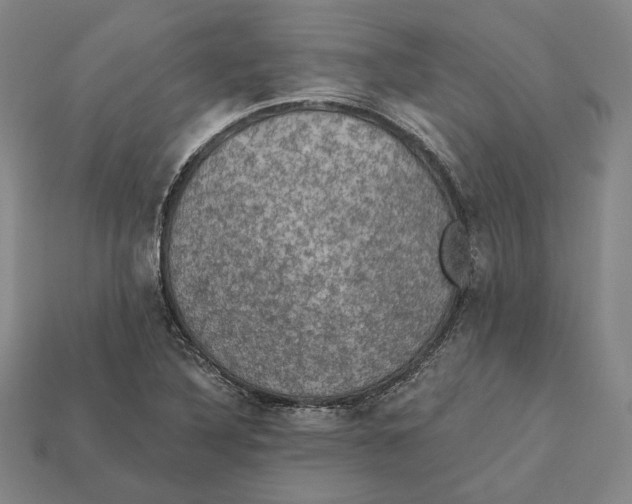 X0000112431316200909111022