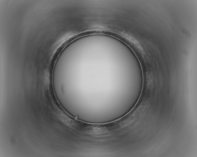X0000112431318200909111022
