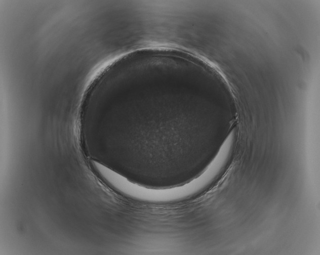 X0000112431319200909111022