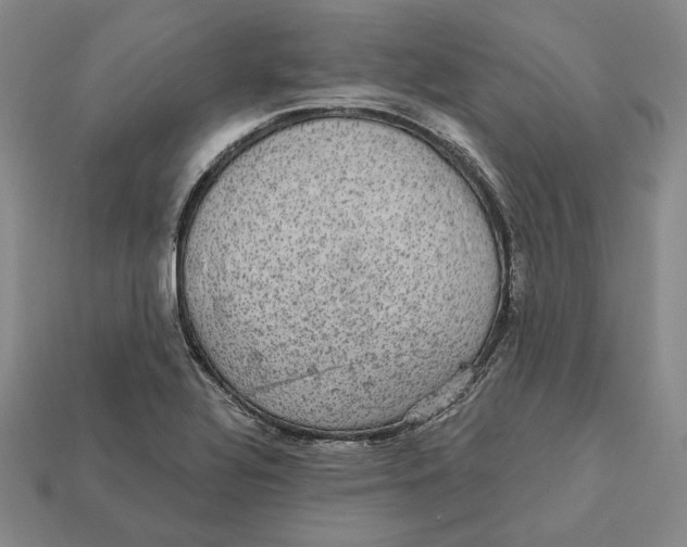 X0000112431320200909111022