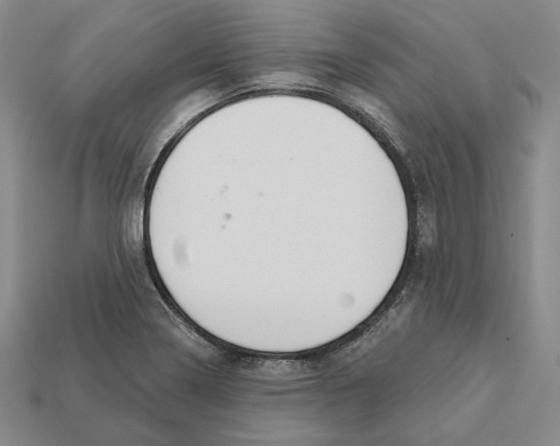 X0000112431322200909111022